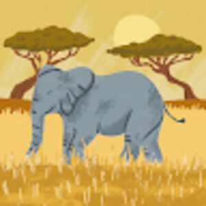 Meet your Posher, Merlyn